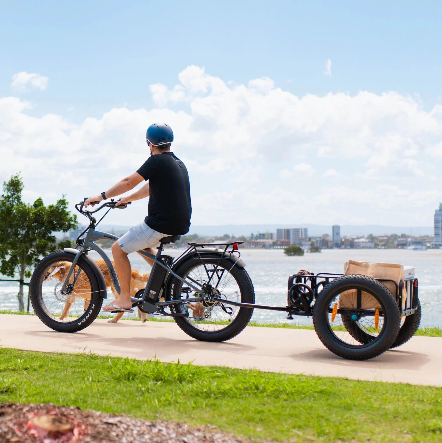 Ampd Bros CHUBBIE Electric Beach Cruiser Bike - Image 16