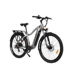 MAMBA Venom Antidote High Powered Electric Bike